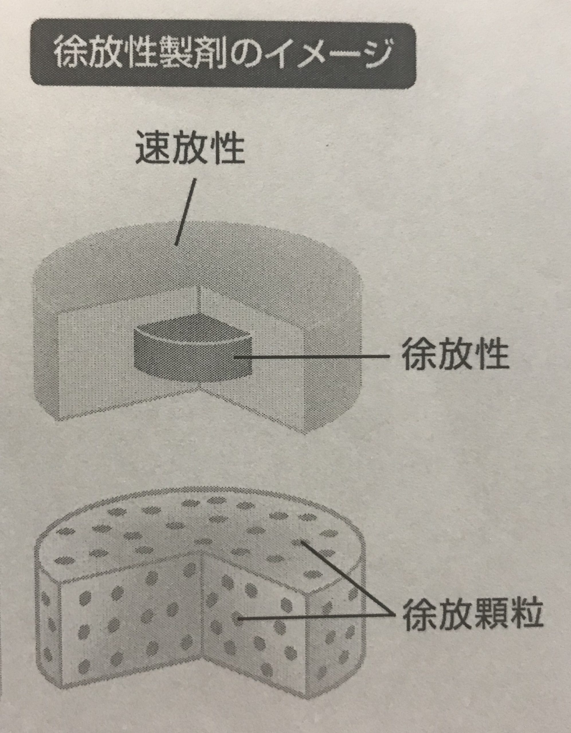 薬の名前にあるアルファベットには意味がある がおがおの森